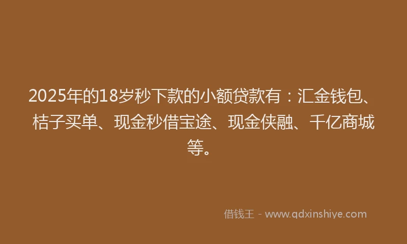 2025年的18岁秒下款的小额贷款有：汇金钱包、桔子买单、现金秒借宝途、现金侠融、千亿商城等。