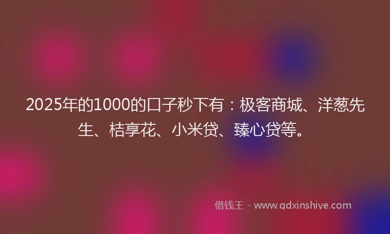 2025年的1000的口子秒下有：极客商城、洋葱先生、桔享花、小米贷、臻心贷等。