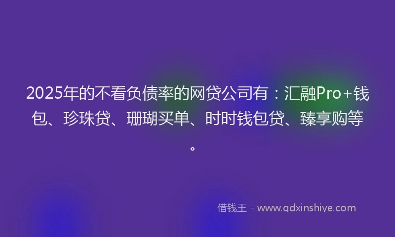 2025年的不看负债率的网贷公司有：汇融Pro+钱包、珍珠贷、珊瑚买单、时时钱包贷、臻享购等。