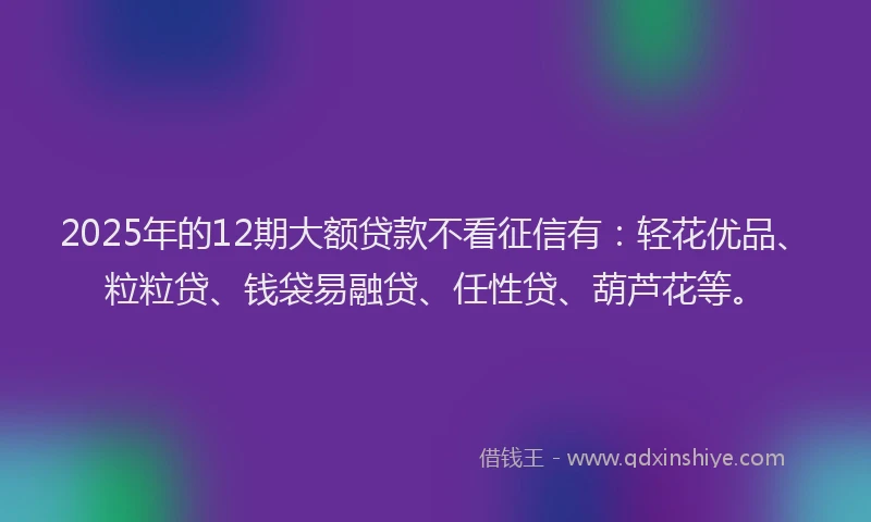 2025年的12期大额贷款不看征信有：轻花优品、粒粒贷、钱袋易融贷、任性贷、葫芦花等。