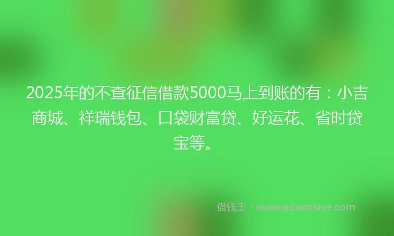 2025年的不查征信借款5000马上到账的有：小吉商城、祥瑞钱包、口袋财富贷、好运花、省时贷宝等。