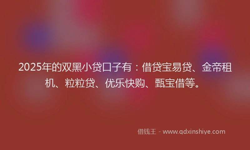 2025年的双黑小贷口子有：借贷宝易贷、金帝租机、粒粒贷、优乐快购、甄宝借等。