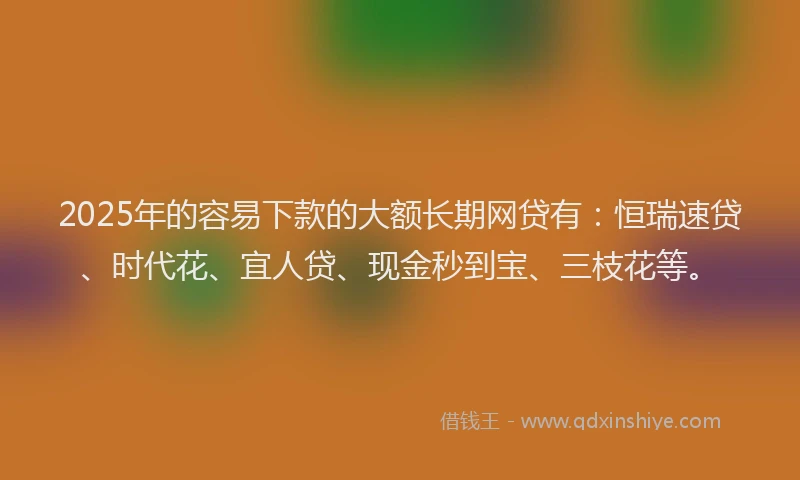 2025年的容易下款的大额长期网贷有：恒瑞速贷、时代花、宜人贷、现金秒到宝、三枝花等。