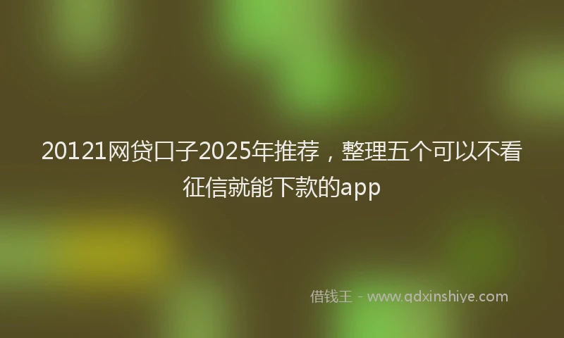 20121网贷口子2025年推荐，整理五个可以不看征信就能下款的app