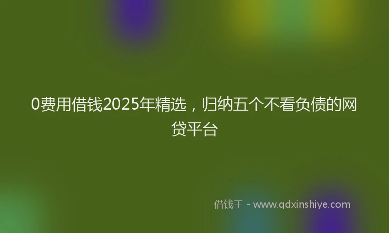 0费用借钱2025年精选，归纳五个不看负债的网贷平台