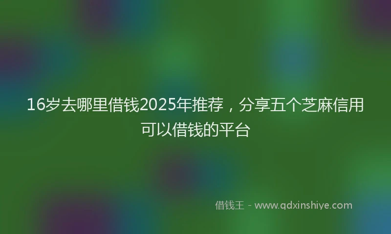 16岁去哪里借钱2025年推荐，分享五个芝麻信用可以借钱的平台