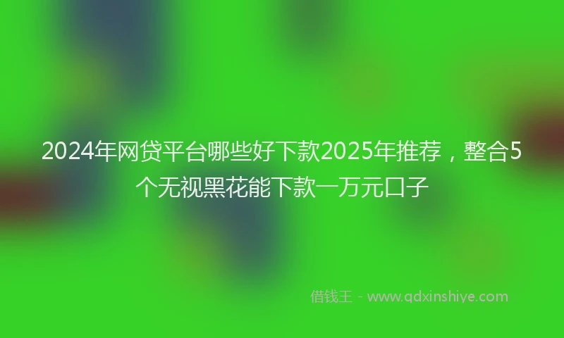 2024年网贷平台哪些好下款2025年推荐，整合5个无视黑花能下款一万元口子