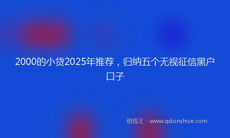 2000的小贷2025年推荐，归纳五个无视征信黑户口子