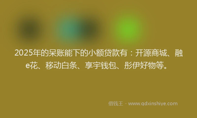 2025年的呆账能下的小额贷款有：开源商城、融e花、移动白条、享宇钱包、彤伊好物等。