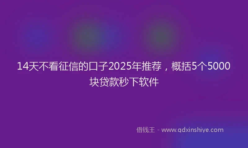 14天不看征信的口子2025年推荐，概括5个5000块贷款秒下软件