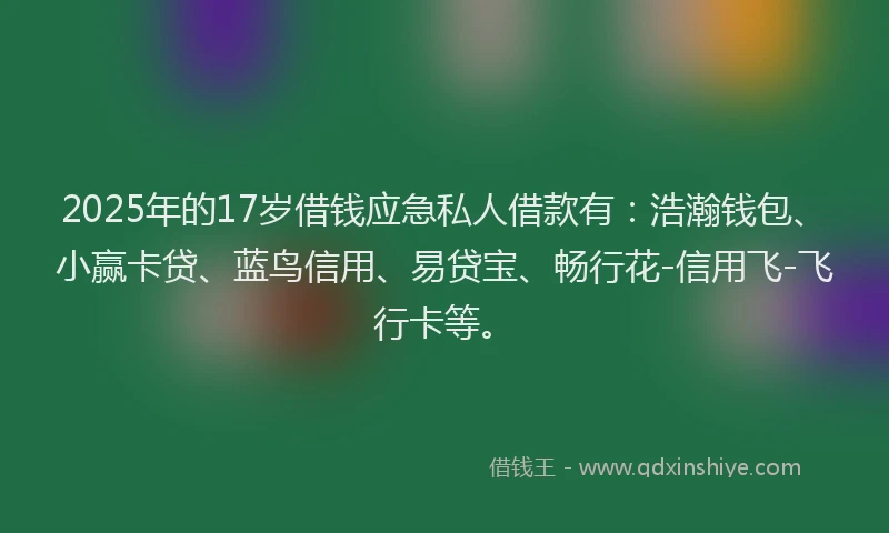 2025年的17岁借钱应急私人借款有：浩瀚钱包、小赢卡贷、蓝鸟信用、易贷宝、畅行花-信用飞-飞行卡等。