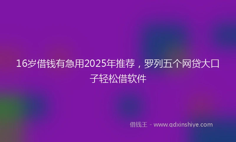 16岁借钱有急用2025年推荐，罗列五个网贷大口子轻松借软件