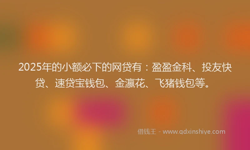 2025年的小额必下的网贷有：盈盈金科、投友快贷、速贷宝钱包、金瀛花、飞猪钱包等。