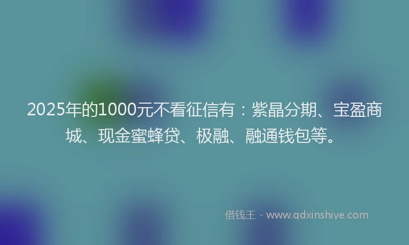 2025年的1000元不看征信有：紫晶分期、宝盈商城、现金蜜蜂贷、极融、融通钱包等。