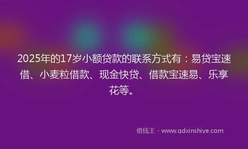 2025年的17岁小额贷款的联系方式有：易贷宝速借、小麦粒借款、现金快贷、借款宝速易、乐享花等。