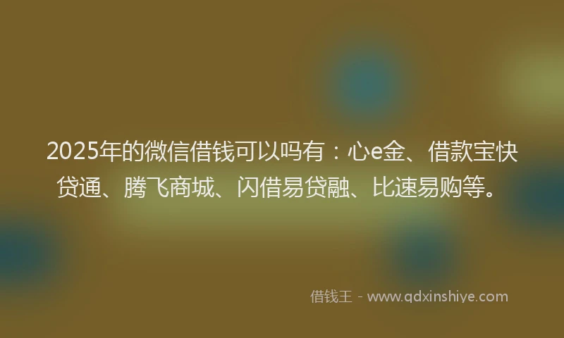 2025年的微信借钱可以吗有：心e金、借款宝快贷通、腾飞商城、闪借易贷融、比速易购等。