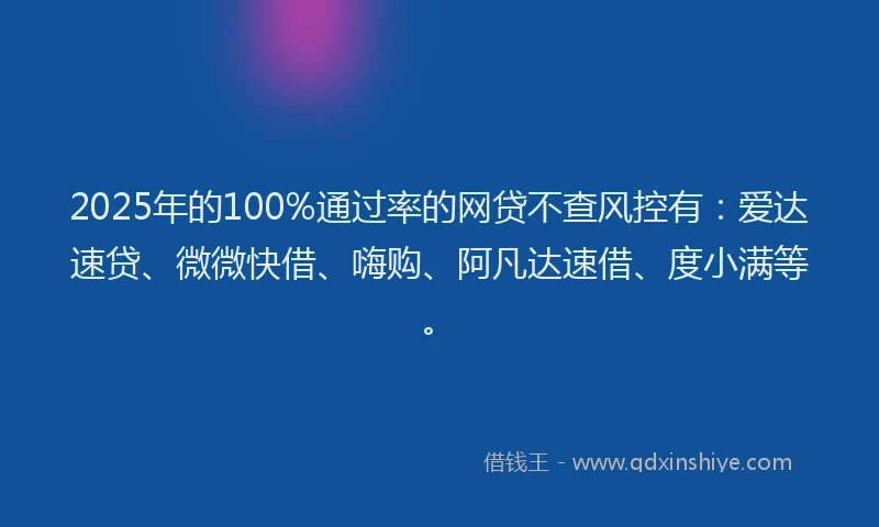 2025年的100%通过率的网贷不查风控有：爱达速贷、微微快借、嗨购、阿凡达速借、度小满等。
