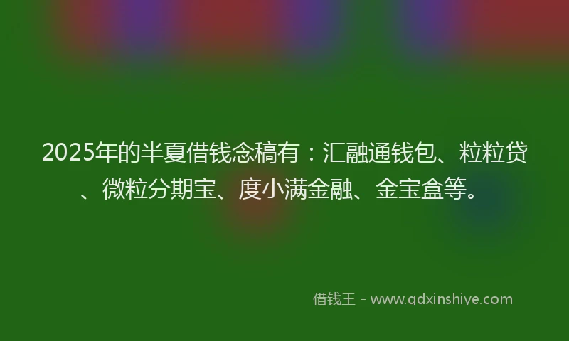 2025年的半夏借钱念稿有：汇融通钱包、粒粒贷、微粒分期宝、度小满金融、金宝盒等。