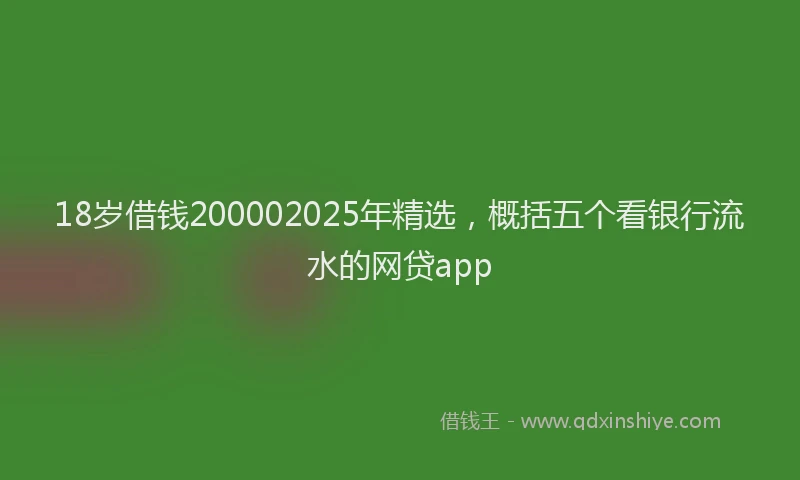 18岁借钱200002025年精选，概括五个看银行流水的网贷app