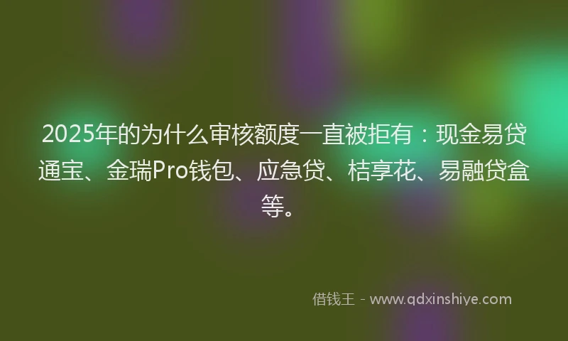 2025年的为什么审核额度一直被拒有：现金易贷通宝、金瑞Pro钱包、应急贷、桔享花、易融贷盒等。