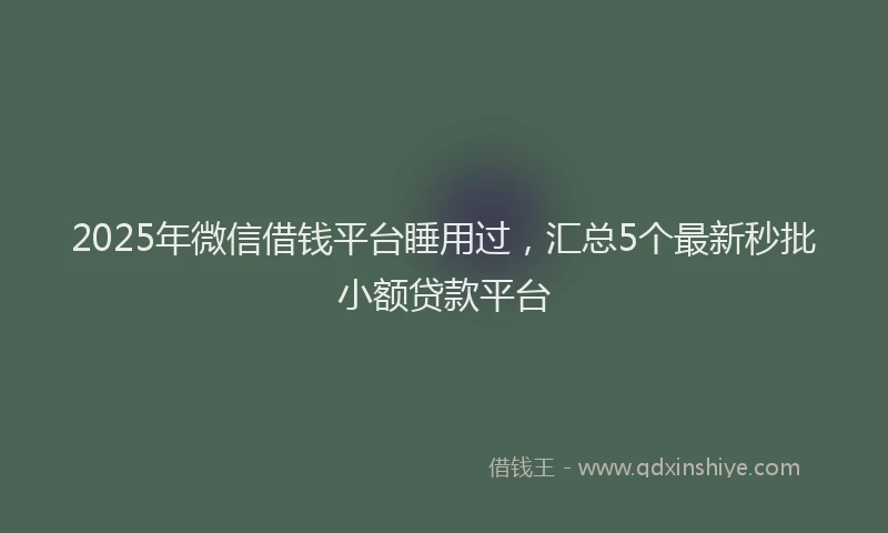 2025年微信借钱平台睡用过，汇总5个最新秒批小额贷款平台