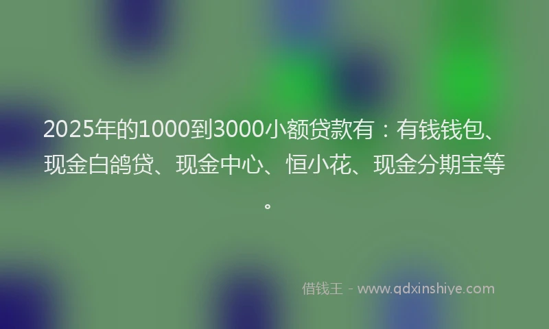 2025年的1000到3000小额贷款有：有钱钱包、现金白鸽贷、现金中心、恒小花、现金分期宝等。