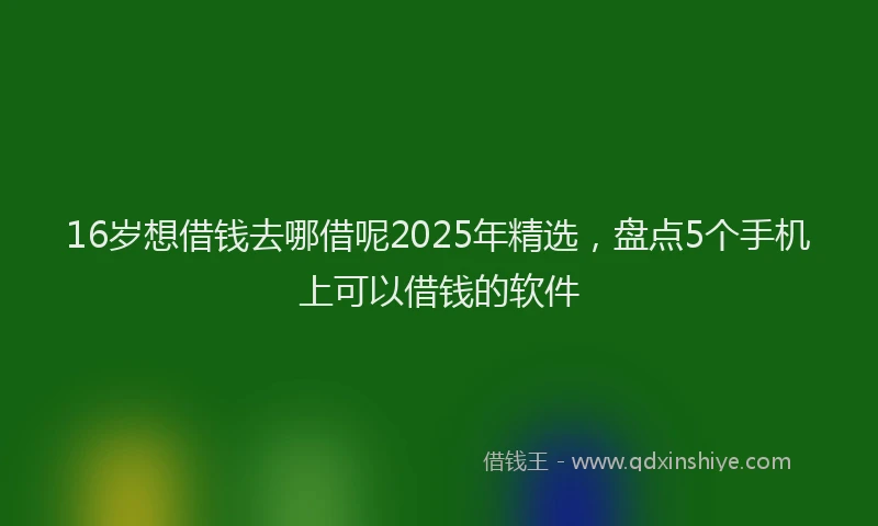 16岁想借钱去哪借呢2025年精选，盘点5个手机上可以借钱的软件