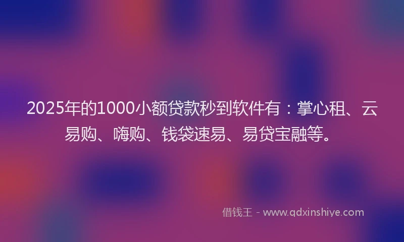 2025年的1000小额贷款秒到软件有：掌心租、云易购、嗨购、钱袋速易、易贷宝融等。