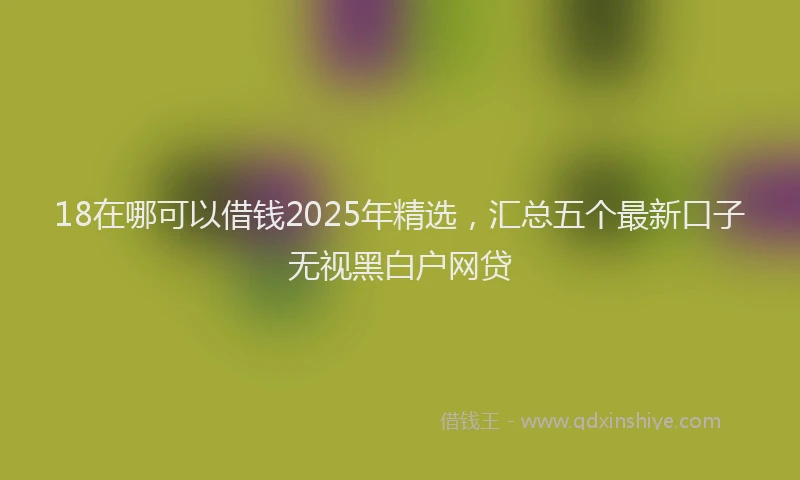 18在哪可以借钱2025年精选，汇总五个最新口子无视黑白户网贷