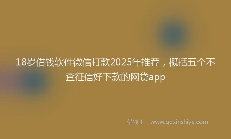 18岁借钱软件微信打款2025年推荐，概括五个不查征信好下款的网贷app