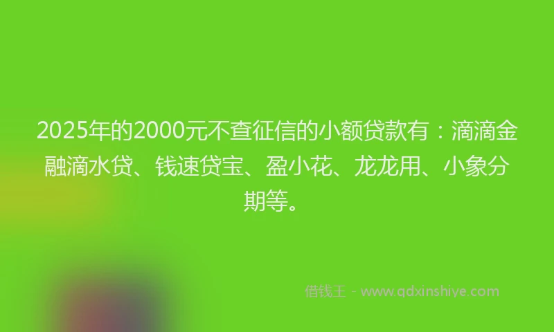 2025年的2000元不查征信的小额贷款有：滴滴金融滴水贷、钱速贷宝、盈小花、龙龙用、小象分期等。