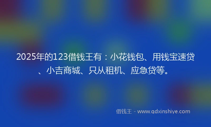 2025年的123借钱王有：小花钱包、用钱宝速贷、小吉商城、只从租机、应急贷等。