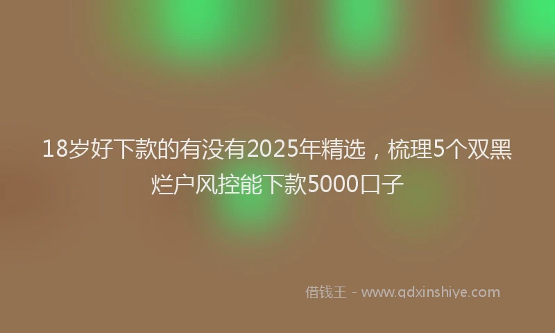 18岁好下款的有没有2025年精选，梳理5个双黑烂户风控能下款5000口子