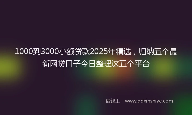 1000到3000小额贷款2025年精选，归纳五个最新网贷口子今日整理这五个平台