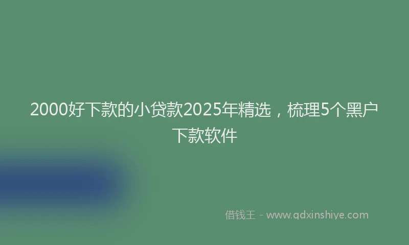2000好下款的小贷款2025年精选，梳理5个黑户下款软件