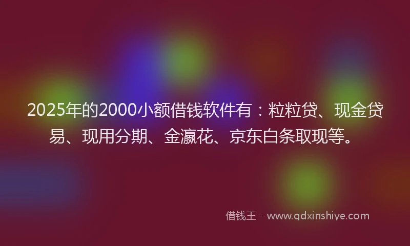 2025年的2000小额借钱软件有：粒粒贷、现金贷易、现用分期、金瀛花、京东白条取现等。