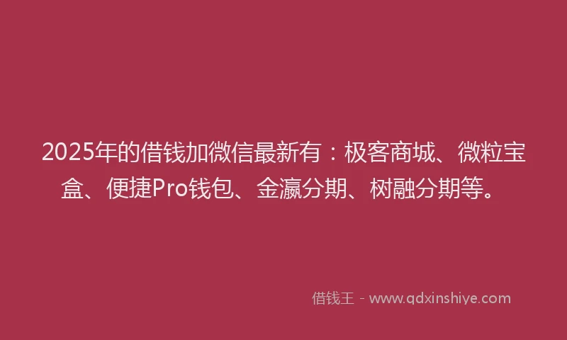 2025年的借钱加微信最新有：极客商城、微粒宝盒、便捷Pro钱包、金瀛分期、树融分期等。