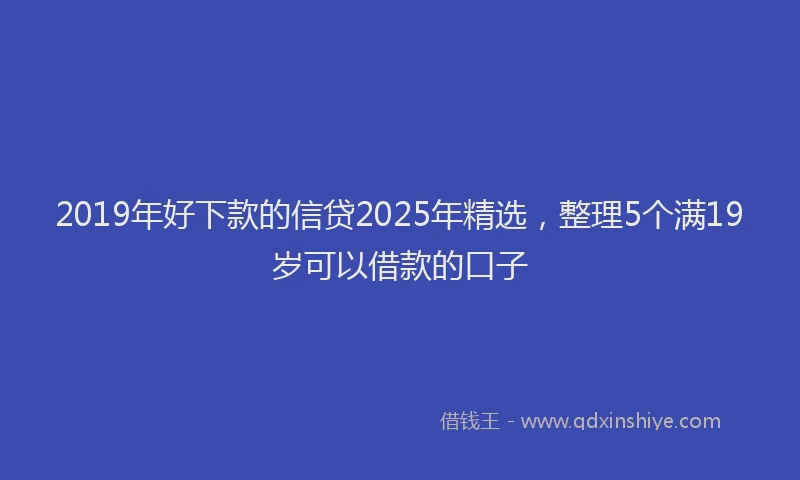 2019年好下款的信贷2025年精选，整理5个满19岁可以借款的口子