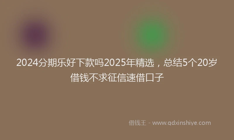 2024分期乐好下款吗2025年精选，总结5个20岁借钱不求征信速借口子