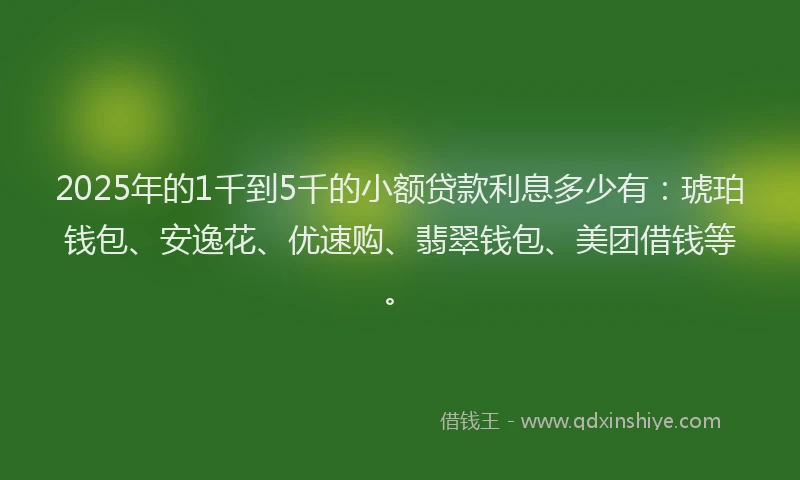 2025年的1千到5千的小额贷款利息多少有：琥珀钱包、安逸花、优速购、翡翠钱包、美团借钱等。