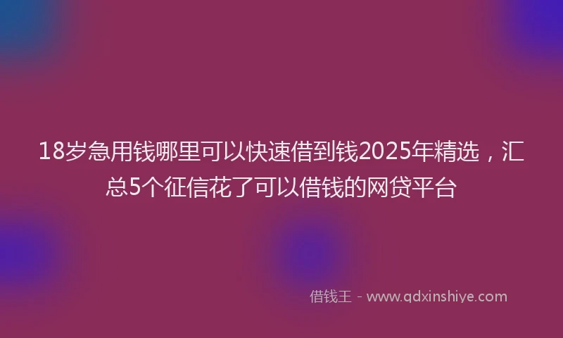 18岁急用钱哪里可以快速借到钱2025年精选，汇总5个征信花了可以借钱的网贷平台