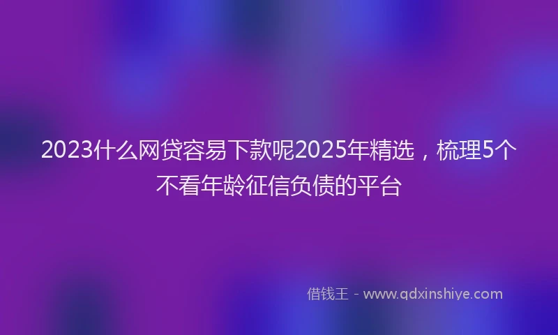 2023什么网贷容易下款呢2025年精选，梳理5个不看年龄征信负债的平台