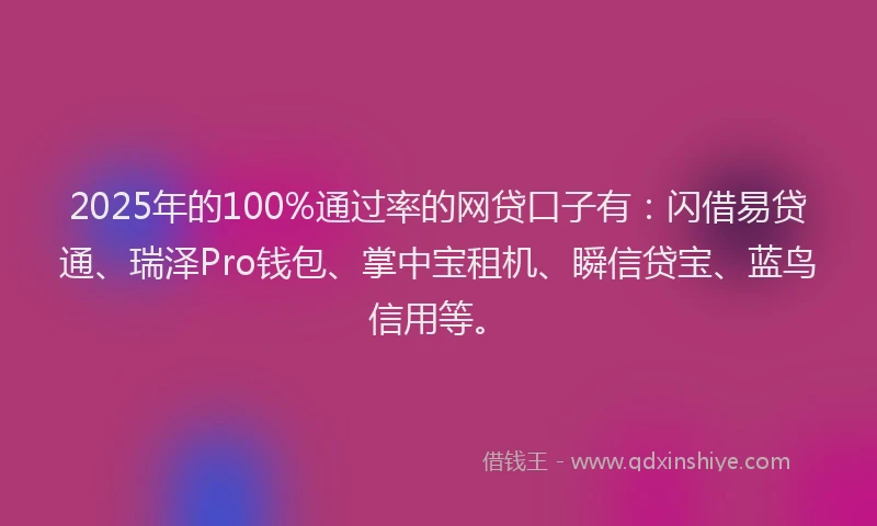 2025年的100%通过率的网贷口子有：闪借易贷通、瑞泽Pro钱包、掌中宝租机、瞬信贷宝、蓝鸟信用等。