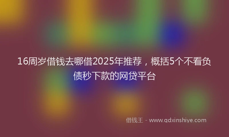 16周岁借钱去哪借2025年推荐，概括5个不看负债秒下款的网贷平台