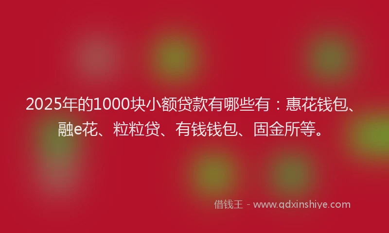 2025年的1000块小额贷款有哪些有：惠花钱包、融e花、粒粒贷、有钱钱包、固金所等。