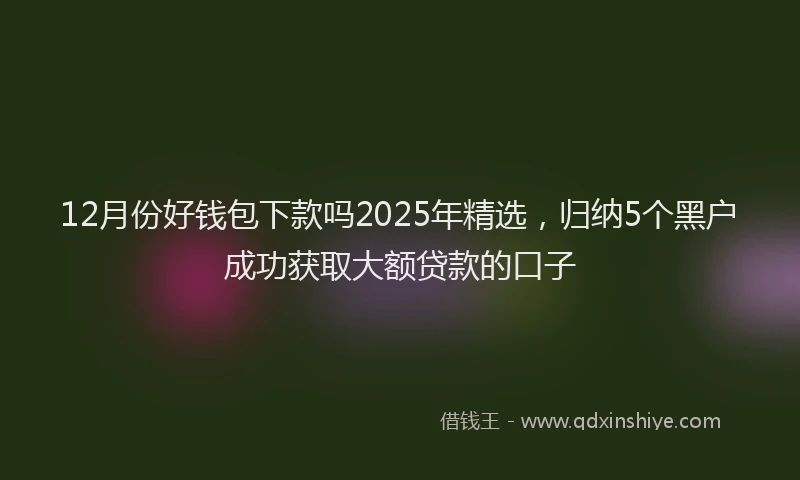 12月份好钱包下款吗2025年精选，归纳5个黑户成功获取大额贷款的口子