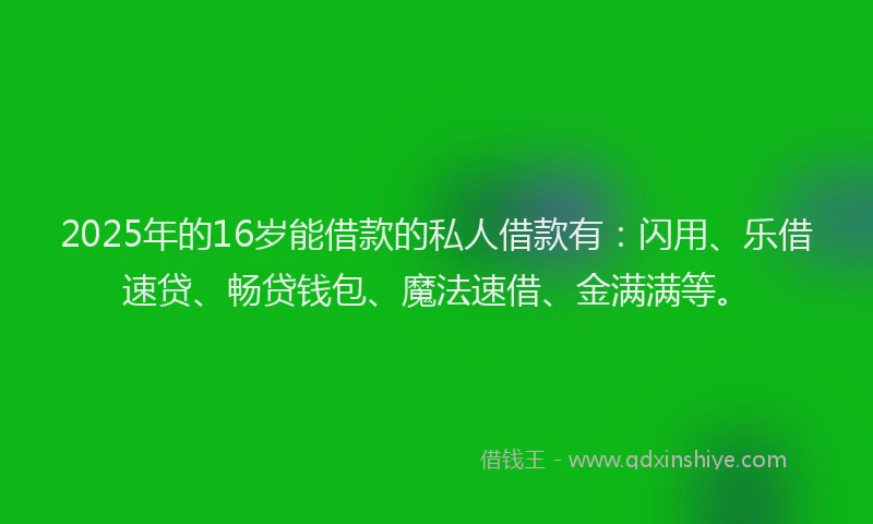 2025年的16岁能借款的私人借款有：闪用、乐借速贷、畅贷钱包、魔法速借、金满满等。