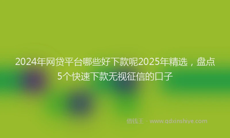2024年网贷平台哪些好下款呢2025年精选，盘点5个快速下款无视征信的口子