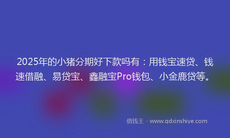 2025年的小猪分期好下款吗有：用钱宝速贷、钱速借融、易贷宝、鑫融宝Pro钱包、小金鹿贷等。