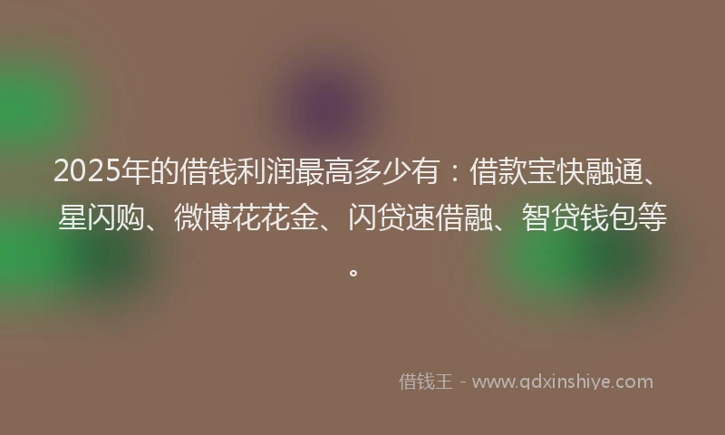 2025年的借钱利润最高多少有：借款宝快融通、星闪购、微博花花金、闪贷速借融、智贷钱包等。